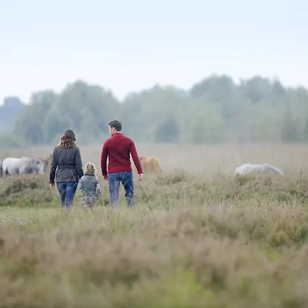 Tatil parkı Center Parcs Limburgse Peel Limburg-brabant 3*