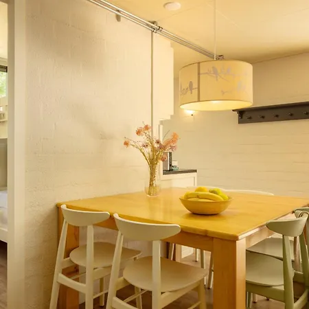 Üdülőpark Center Parcs Limburgse Peel Limburg-brabant America