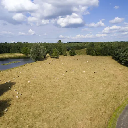 Center Parcs Limburgse Peel Limburg-brabant America