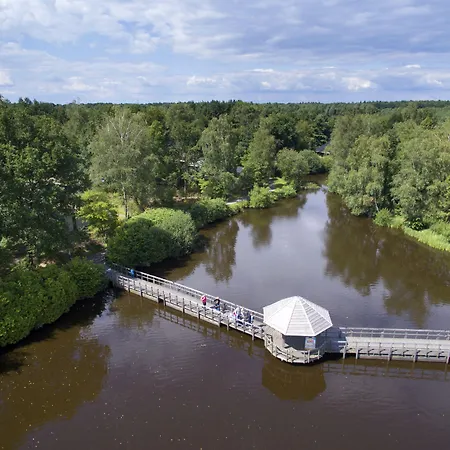 Center Parcs Limburgse Peel Limburg-brabant 3* America