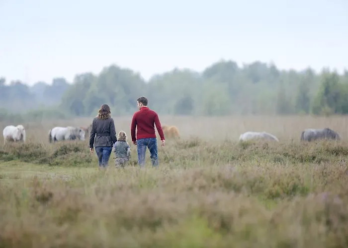 Prázdninový areál Center Parcs Limburgse Peel Limburg-brabant 3*