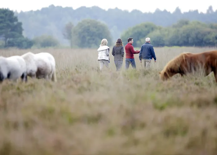 Center Parcs Limburgse Peel Limburg-brabant 3* America