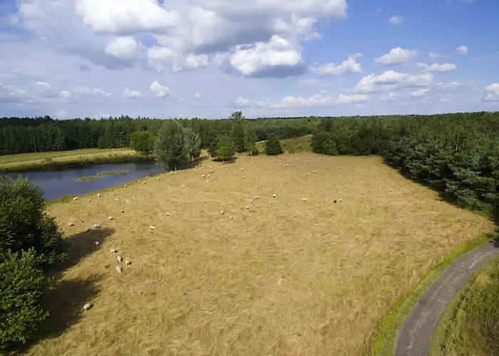 Center Parcs Limburgse Peel Limburg-brabant America