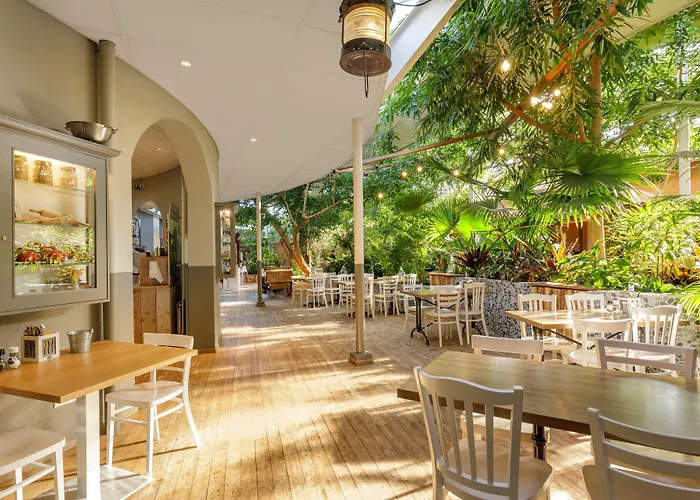 Center Parcs Limburgse Peel Limburg-brabant America