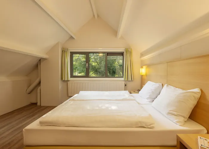 Center Parcs Limburgse Peel Limburg-brabant America