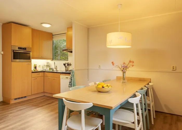 Center Parcs Limburgse Peel Limburg-Brabant 3* America