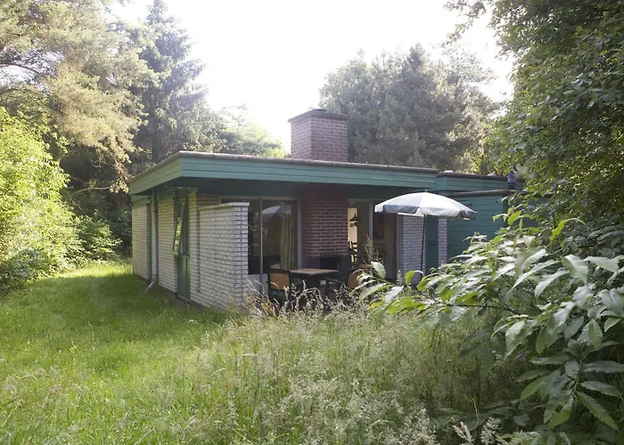 Center Parcs Limburgse Peel Limburg-Brabant America