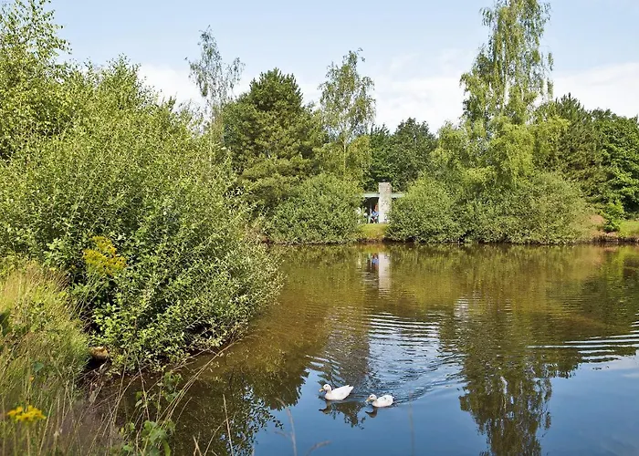 Holiday park Center Parcs Limburgse Peel Limburg-Brabant 3*