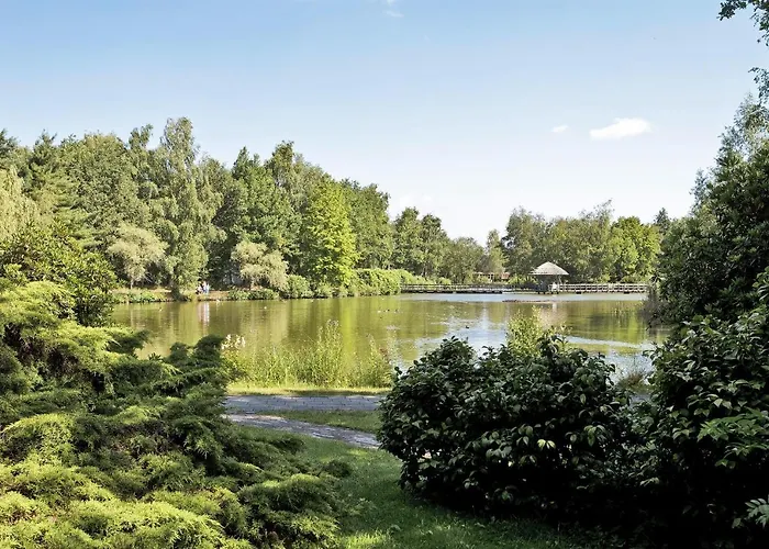 Village de vacances Center Parcs Limburgse Peel Limburg-brabant America