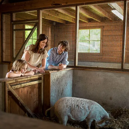 Center Parcs Limburgse Peel Limburg-brabant منتزه العطل