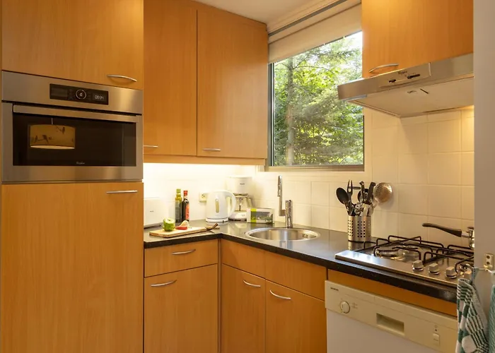 Center Parcs Limburgse Peel Limburg-brabant 3* America