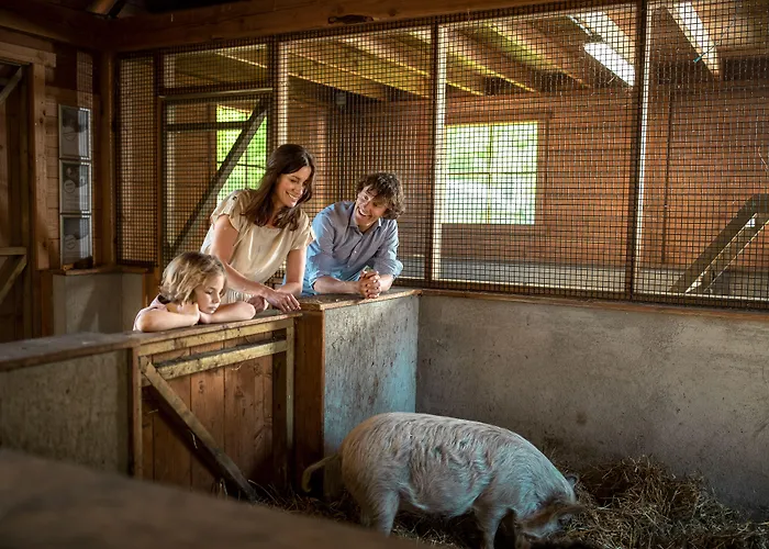 Center Parcs Limburgse Peel Limburg-brabant Vakantiepark